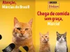 Friskies lança campanha com meme “Márcias” Campanha Friskies com gatos e o meme ‘Márcias do Brasil’, destacando a mensagem contra a comida sem graça e a marca Purina Friskies.