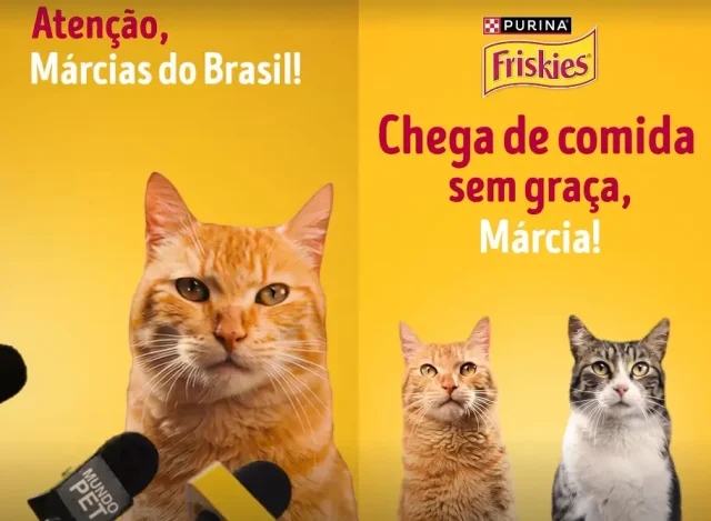 Campanha Friskies com gatos e o meme ‘Márcias do Brasil’, destacando a mensagem contra a comida sem graça e a marca Purina Friskies.