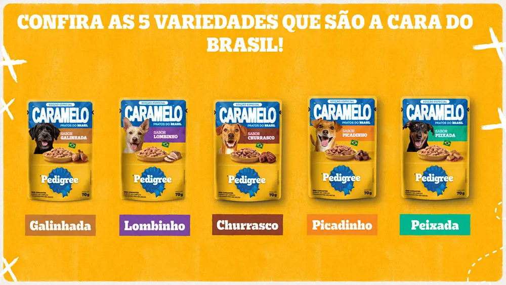 PEDIGREE lança Biscrok Churrasco, novo biscoito para cães Novidade chega ao mercado em embalagem de 500 gramas e aposta na brasilidade para ampliar a linha de petiscos da marca.